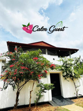 Calm Guest